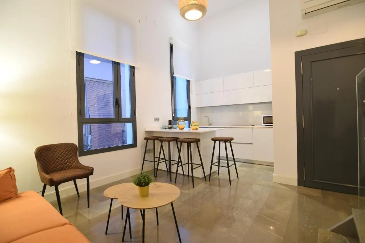 Apartment Loft Van Gogh, Centro Historico Malaga Spain